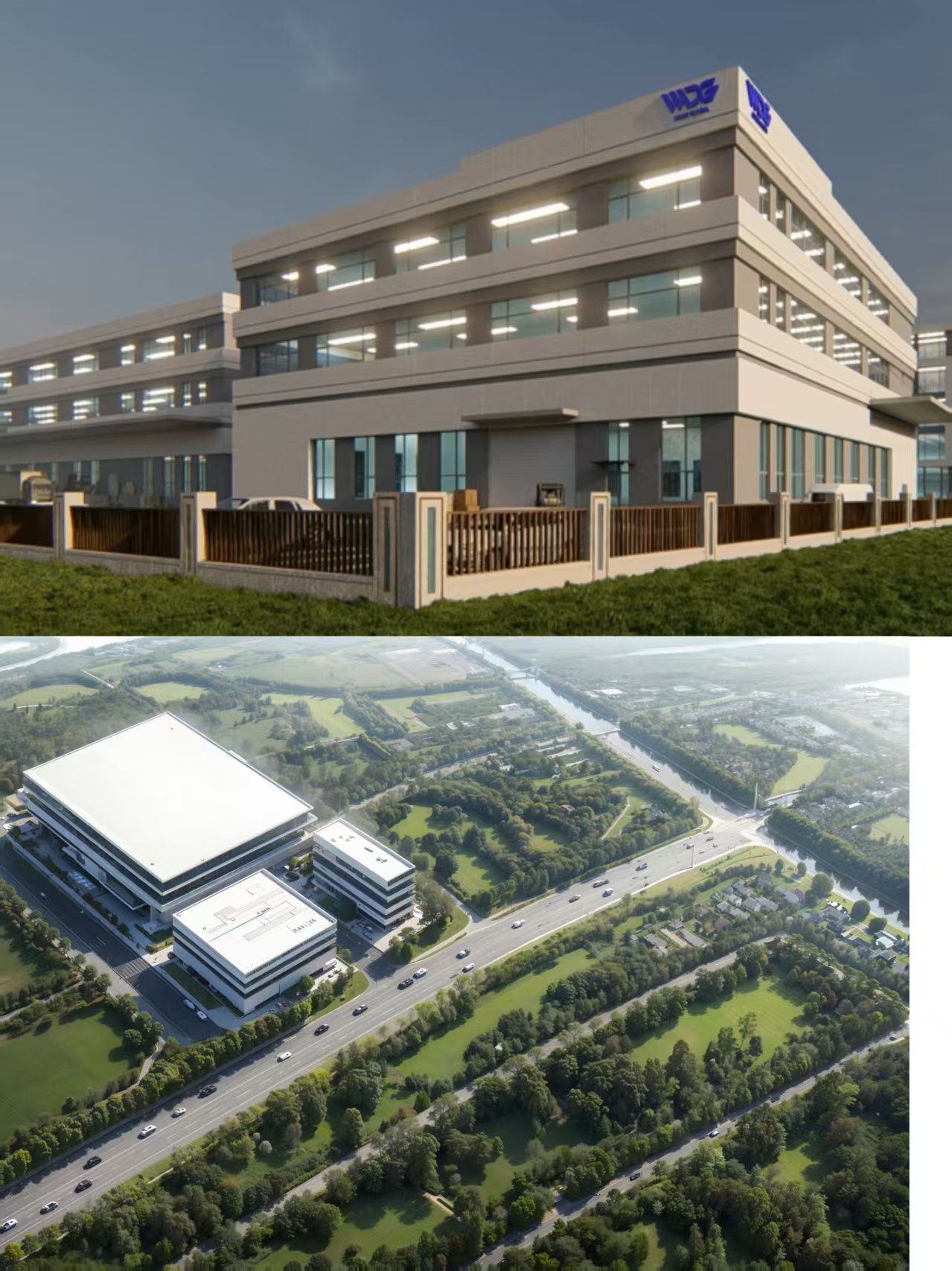 ABOUT OUR COMPANY      Welcome To Wdggardening